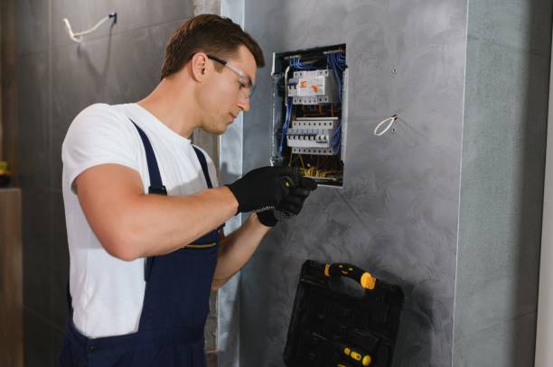 Best Electrical System Inspection  in Clarkton, MO