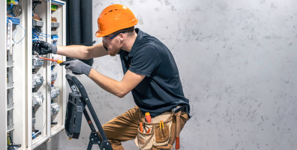 Best Electric Panel Repair  in Clarkton, MO